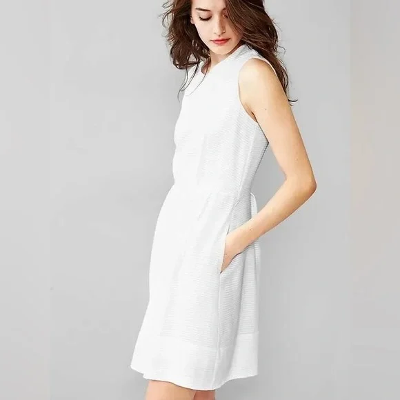 GAP Dresses Nwot Gap Striped Flare Dress Zip Back Size